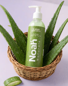 Aloevera Shampoo